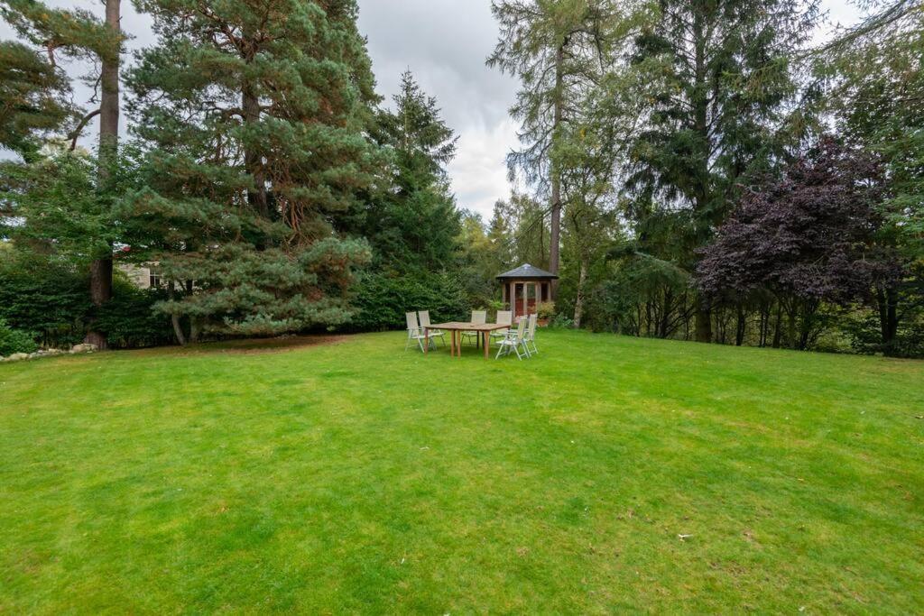 The Beeches Studio, Highlands Of Scotland Newtonmore Exterior photo