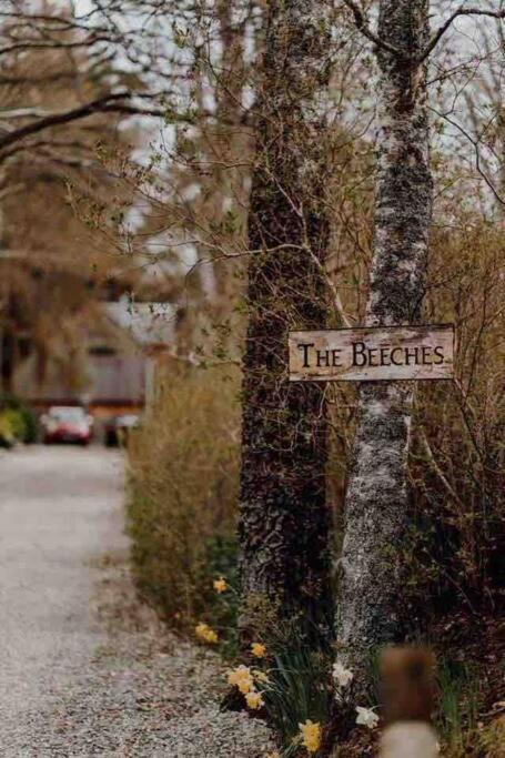 The Beeches Studio, Highlands Of Scotland Newtonmore Exterior photo